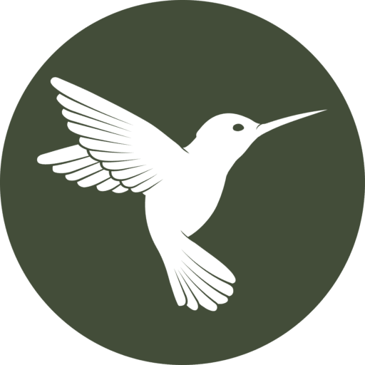 Cropped Colibri Scaled 1