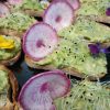tartine avocat vegan repas entreprise alsace