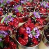 verrine sucrée vegan fruits rouges colmar